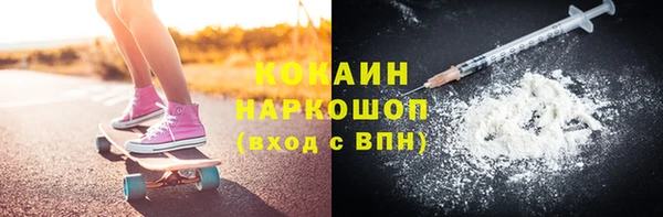 индика Новокубанск