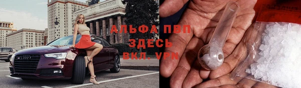 Альфа ПВП Мегион