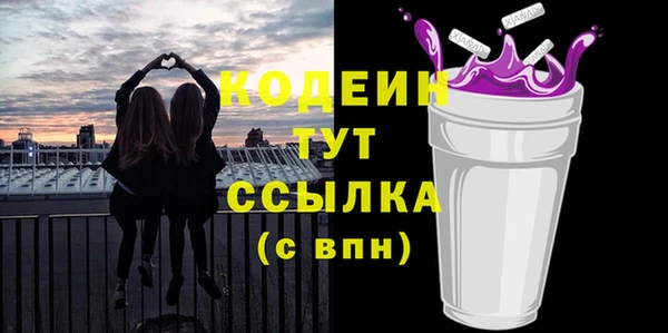 индика Новокубанск