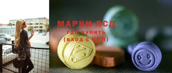 индика Новокубанск