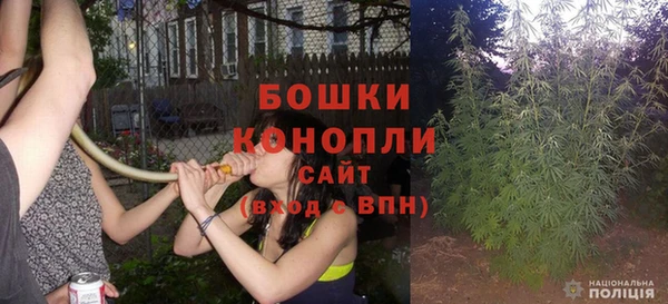 PSILOCYBIN Новозыбков