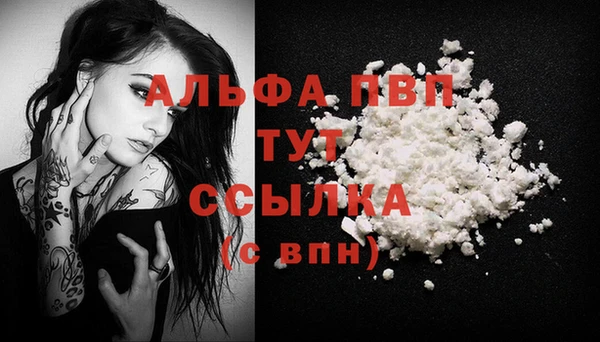 PSILOCYBIN Новозыбков
