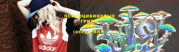герыч Шали