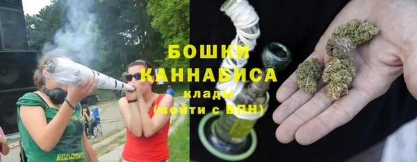 индика Новокубанск