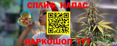 сатива Гагарин