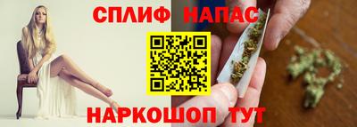 сатива Гагарин