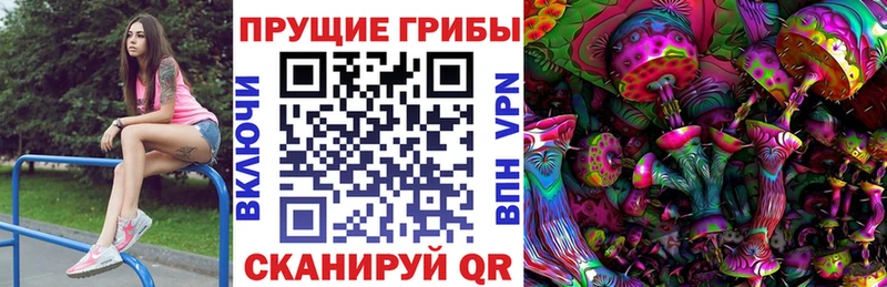 Псилоцибиновые грибы GOLDEN TEACHER  Новотроицк 