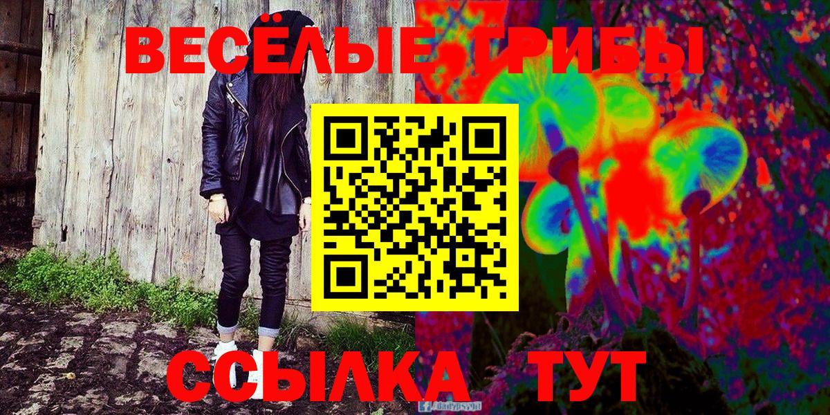 Псилоцибиновые грибы Psilocybe  Вход с VPN  Новотроицк 